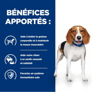 Hill’s Prescription R/D Weight Reduction pour chien