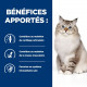 Hills Prescription Diet J/D Joint Care pour chat