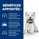 Hill's Prescription Derm Complete Mini pour chien