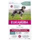 Eukanuba Daily Care Monoprotein au saumon pour chien