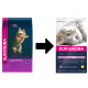 Eukanuba Kitten au poulet pour chaton