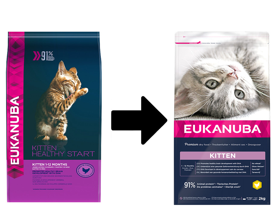 Eukanuba Kitten au poulet pour chaton
