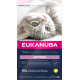 Eukanuba Kitten au poulet pour chaton