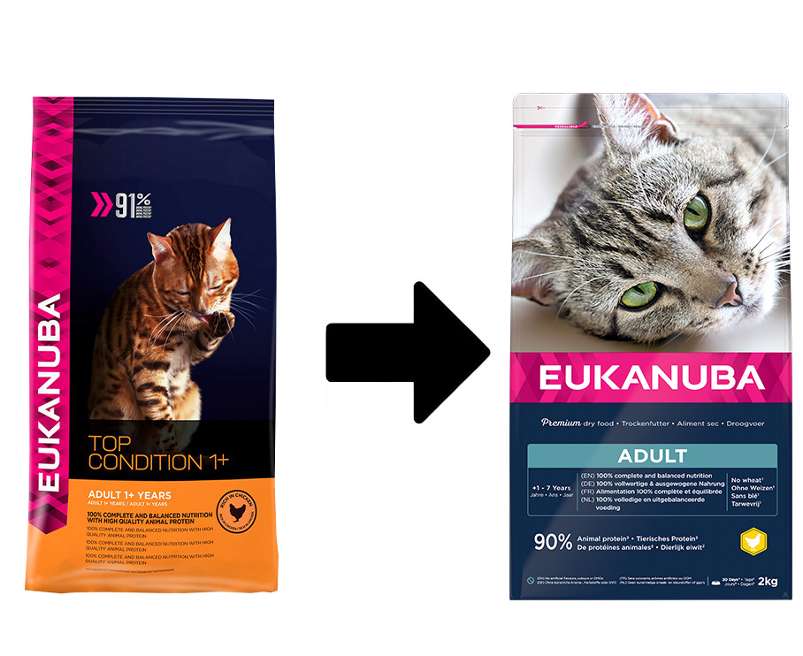 Eukanuba Adult au poulet pour chat