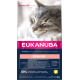 Eukanuba Senior au poulet pour chat