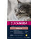 Eukanuba Senior au poulet pour chat