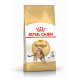 Royal Canin Adult Bengal pour chat