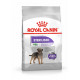 Royal Canin Mini Sterilised pour chien