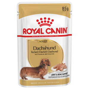 Royal Canin Adult Teckel pâtée pour chien 1 boîte (12 x 85 g)