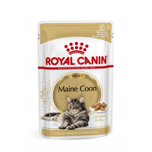 Royal Canin Maine Coon Adulte Pâtée 1 boîte (12 x 85 g)