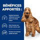 Hill's Prescription Diet Z/D Food Sensitivities pâtée pour chien (boîte)