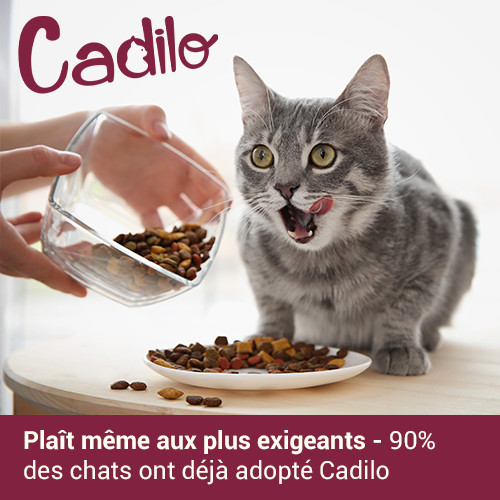 Cadilo Urinary kattenvoer