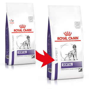 Royal Canin Expert Dental Medium & Large Dogs pour chien