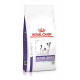 Royal Canin Expert Mature Consult Small Dogs pour chien