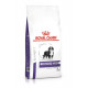 Royal Canin Expert Neutered Junior Large Dogs pour chien