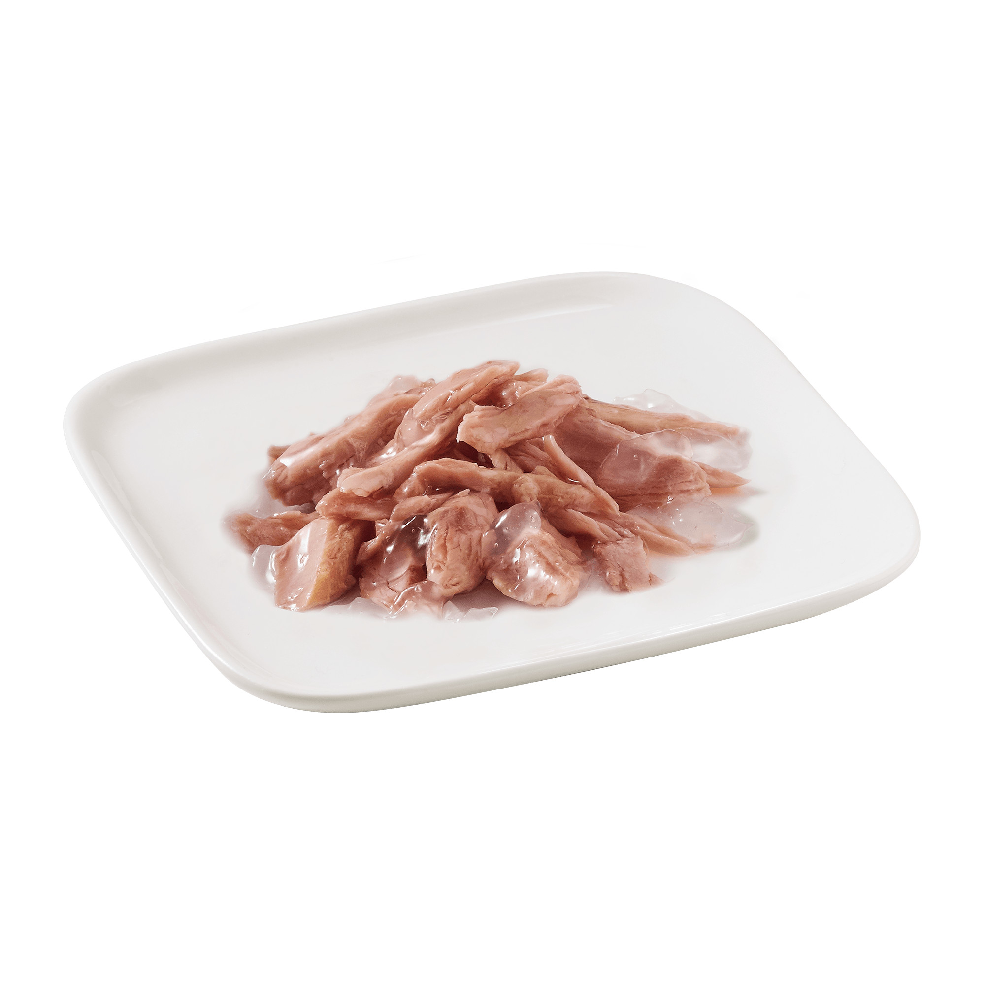 Schesir Thon pour chien nr.681