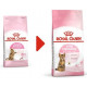Royal Canin Chaton Sterilised