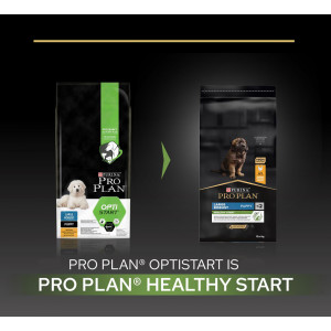 Pro Plan Large Robust Puppy Healthy Start avec poulet pour chiot
