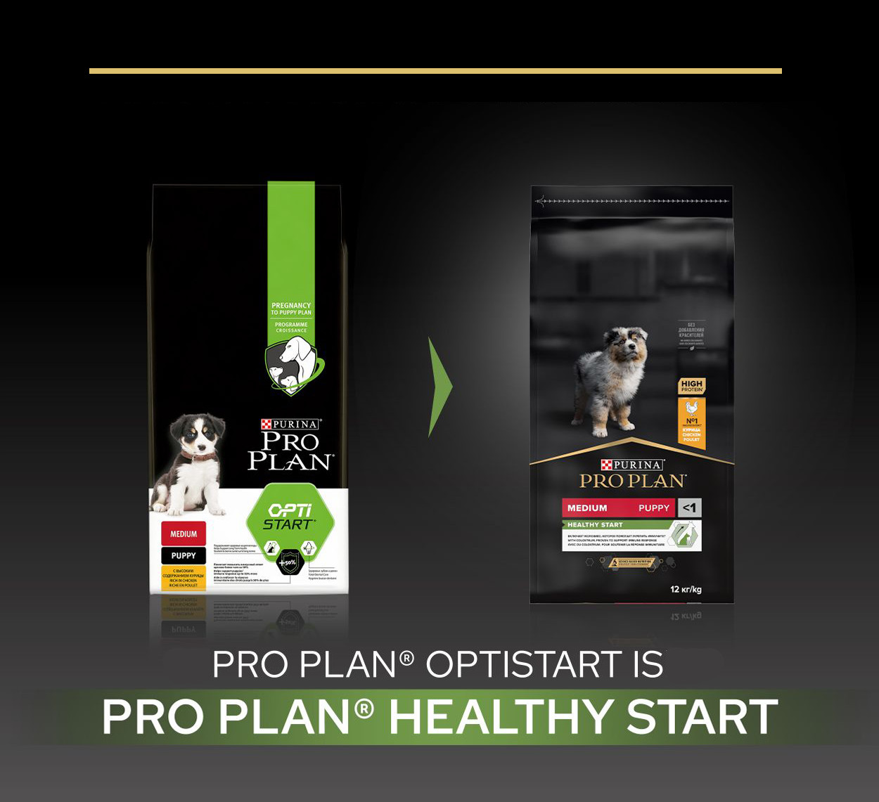 Pro Plan Medium Puppy Healthy Start au poulet pour chiot