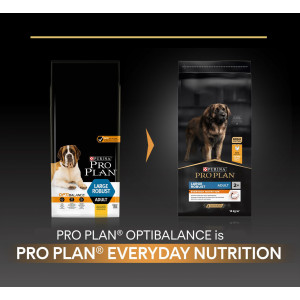 Pro Plan Chien Adult Large Robust Optibalance