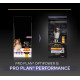 Pro Plan Adult Performance au poulet pour chien