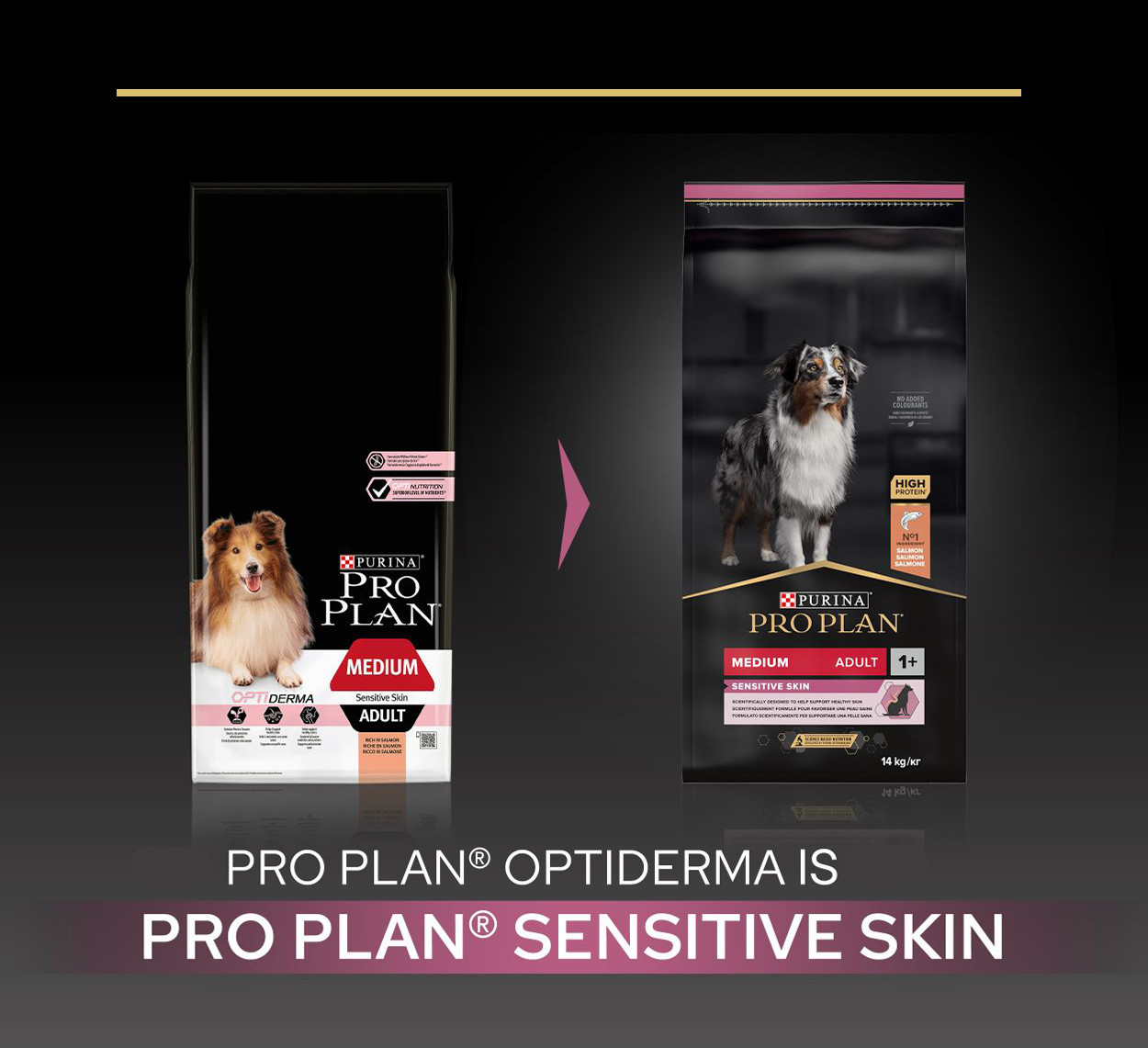 Pro Plan Medium Sensitive Skin Adult Saumon pour Chien