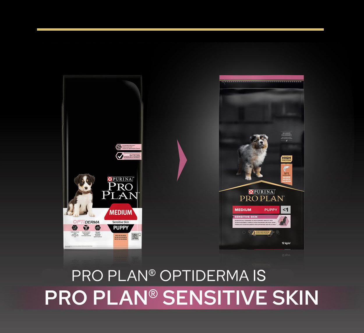 Pro Plan Medium Puppy sensit Skin 12kg Saumon