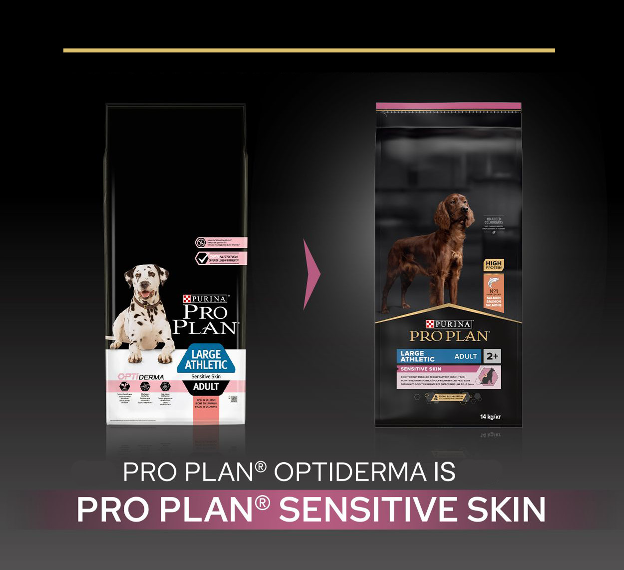 Pro Plan Large Athletic Adult Sensitive Skin au saumon pour chien