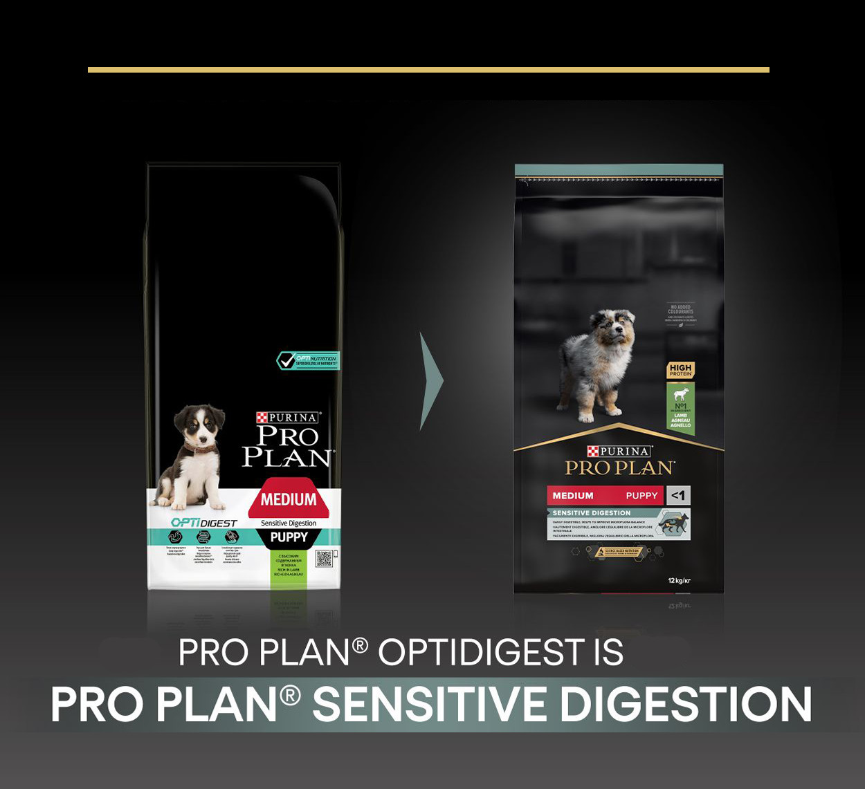 Pro Plan Medium Sensitive Digestion Puppy à l'agneau pour chiot