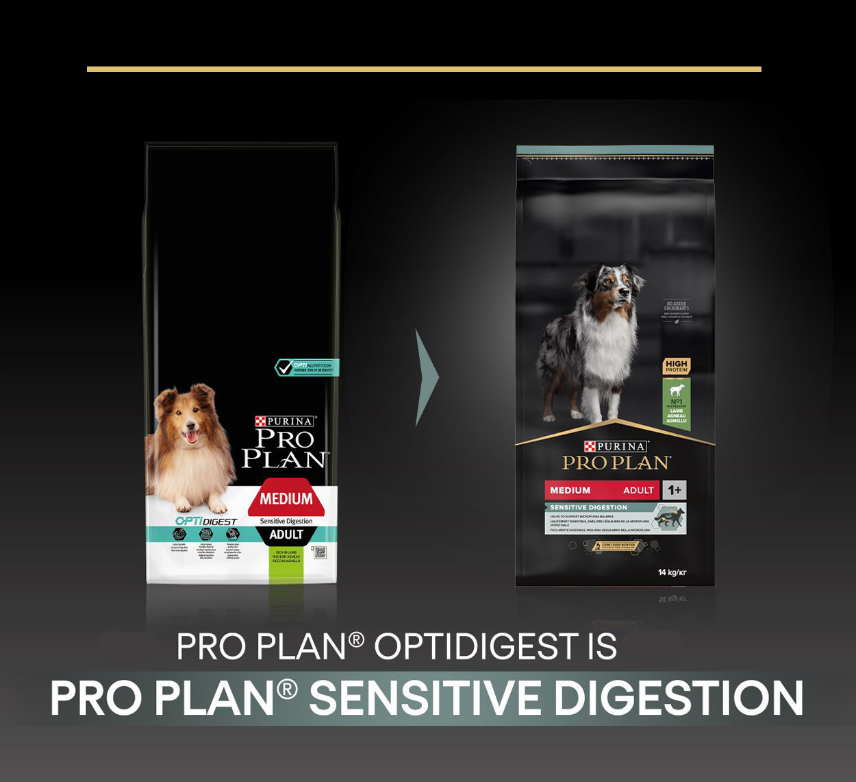 Pro Plan Medium Sensitive Digestion Adult Agneau pour Chien
