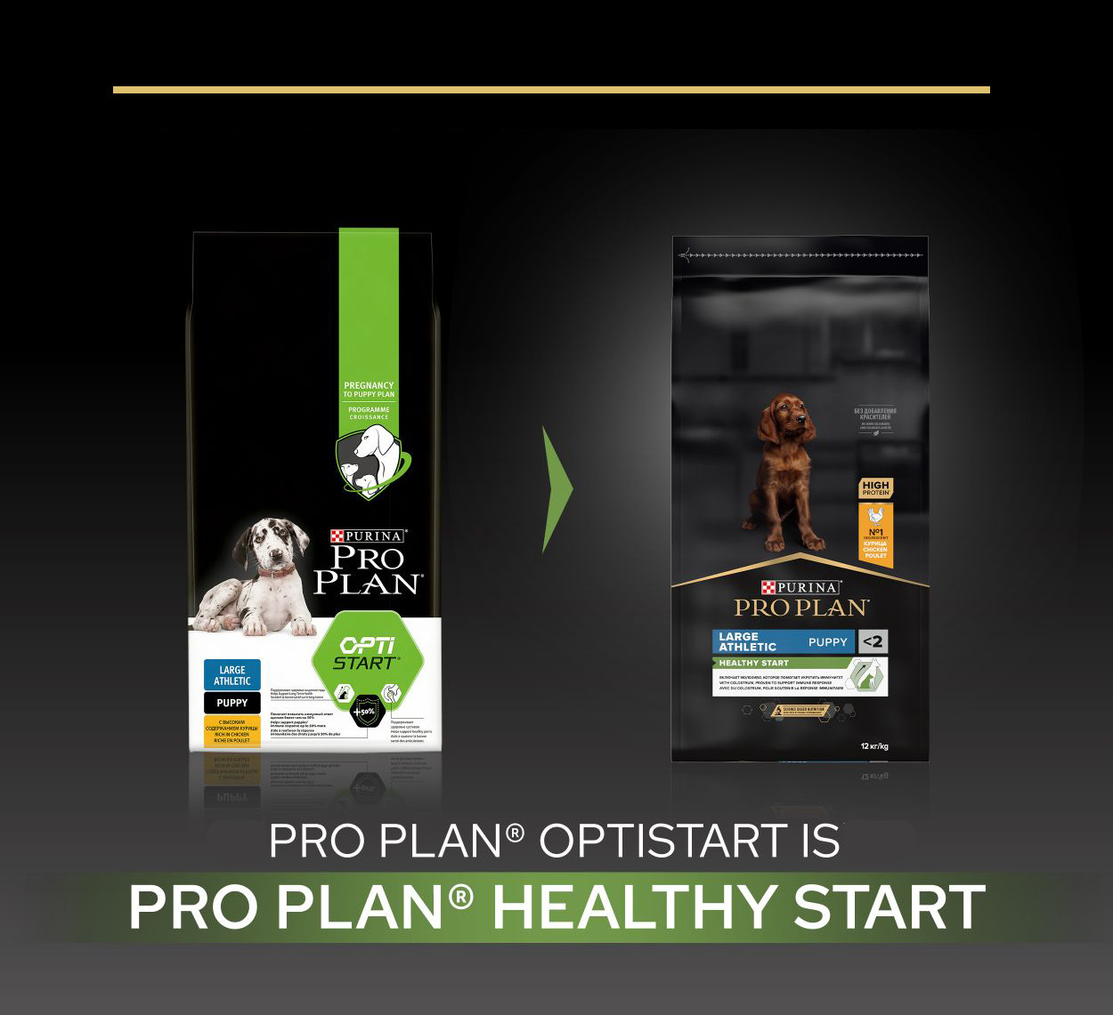 Pro Plan Large Athletic Puppy Healthy Start avec poulet pour chiot