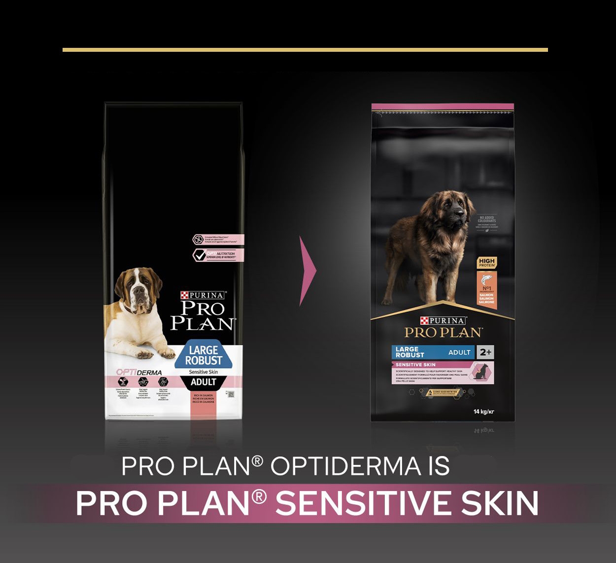 Pro Plan Large Robust Sensitive Skin Adult pour Chien