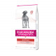 Eukanuba Veterinary Diets Intestinal pour chien