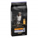 Pro Plan Adult Performance au poulet pour chien