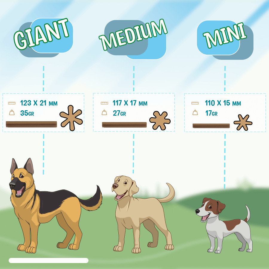 Brekz Dental Sticks Giant hondensnack