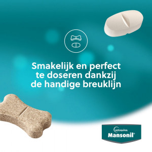 Mansonil All Worm Cat pour chat