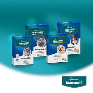 Mansonil All Worm Cat pour chat