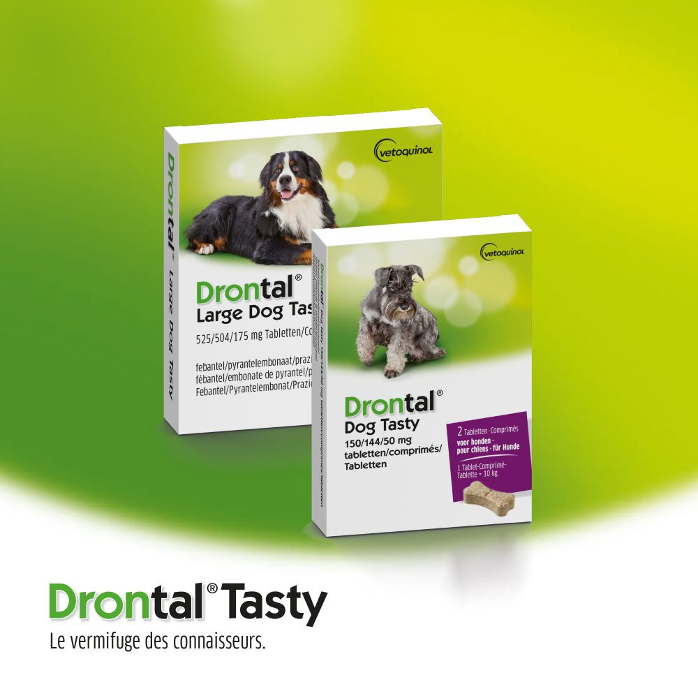 Drontal Dog Tasty Ontwormingsmiddel