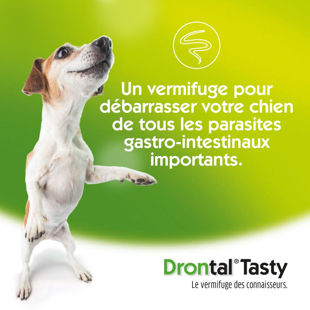 Drontal Dog Tasty Ontwormingsmiddel