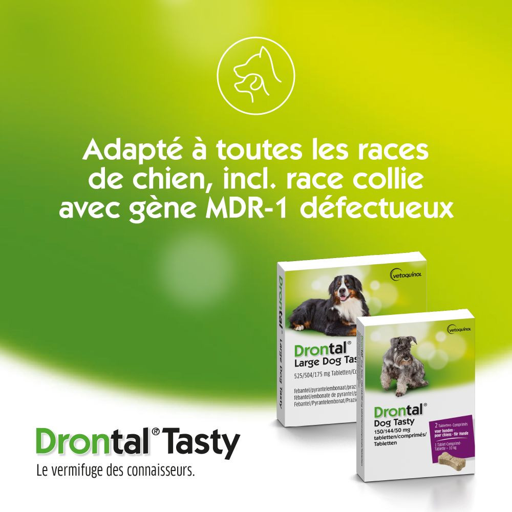 Drontal Dog Tasty Ontwormingsmiddel