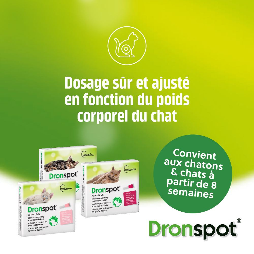 Dronspot 96 mg/24 mg Spot-on oplossing voor katten (5- 8 kg)