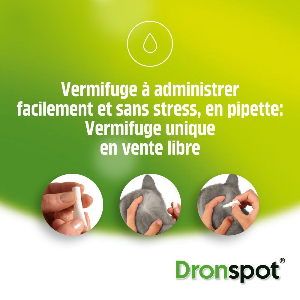 Dronspot 96 mg/24 mg Spot-on oplossing voor katten (5- 8 kg)