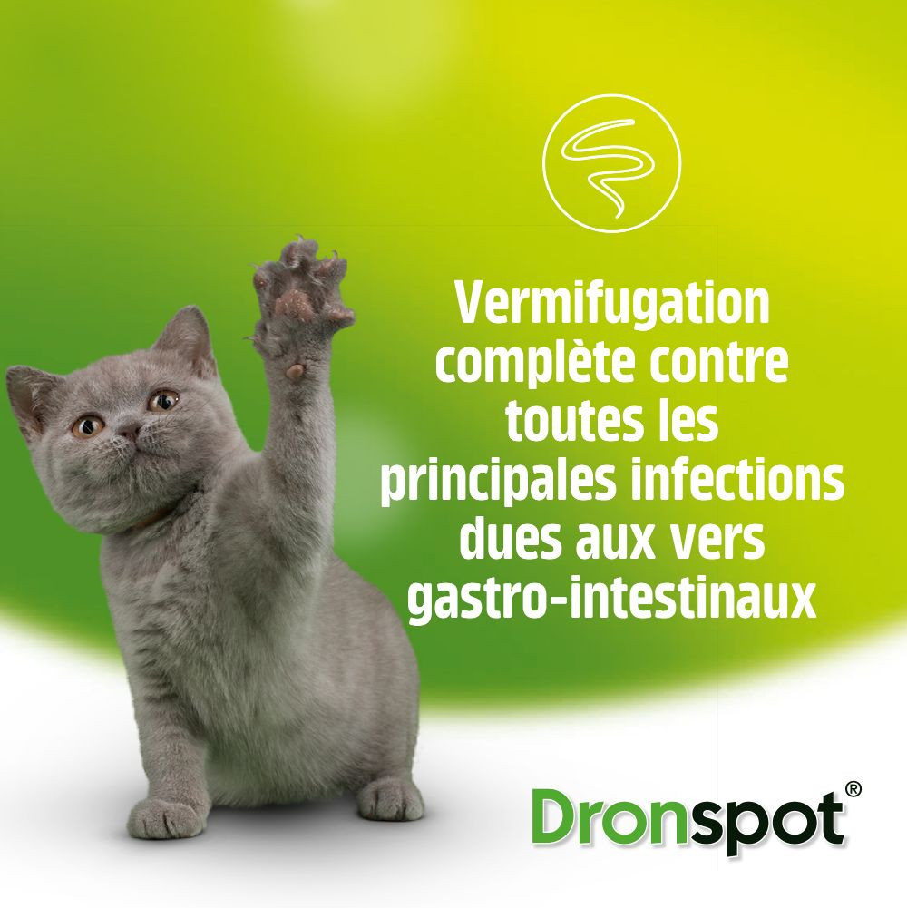 Dronspot 60 mg/15 mg Spot-on oplossing voor  katten (2,5 - 5 kg)
