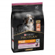 Pro Plan Medium & Large Sensitive Skin Adult 7+ pour Chien