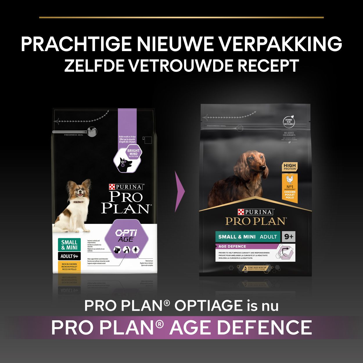 Pro Plan Small & Mini Adult 9+ pour chien