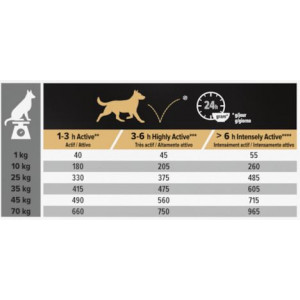Pro Plan Adult Performance au poulet pour chien