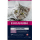 Eukanuba Kitten au saumon sans céréales pour chaton