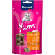 Vitakraft Cat Yums poulet avec herbe snack pour chat (40 g)