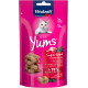Vitakraft Cat Yums Superfood aux baies de sureau snack pour chat (40 g)