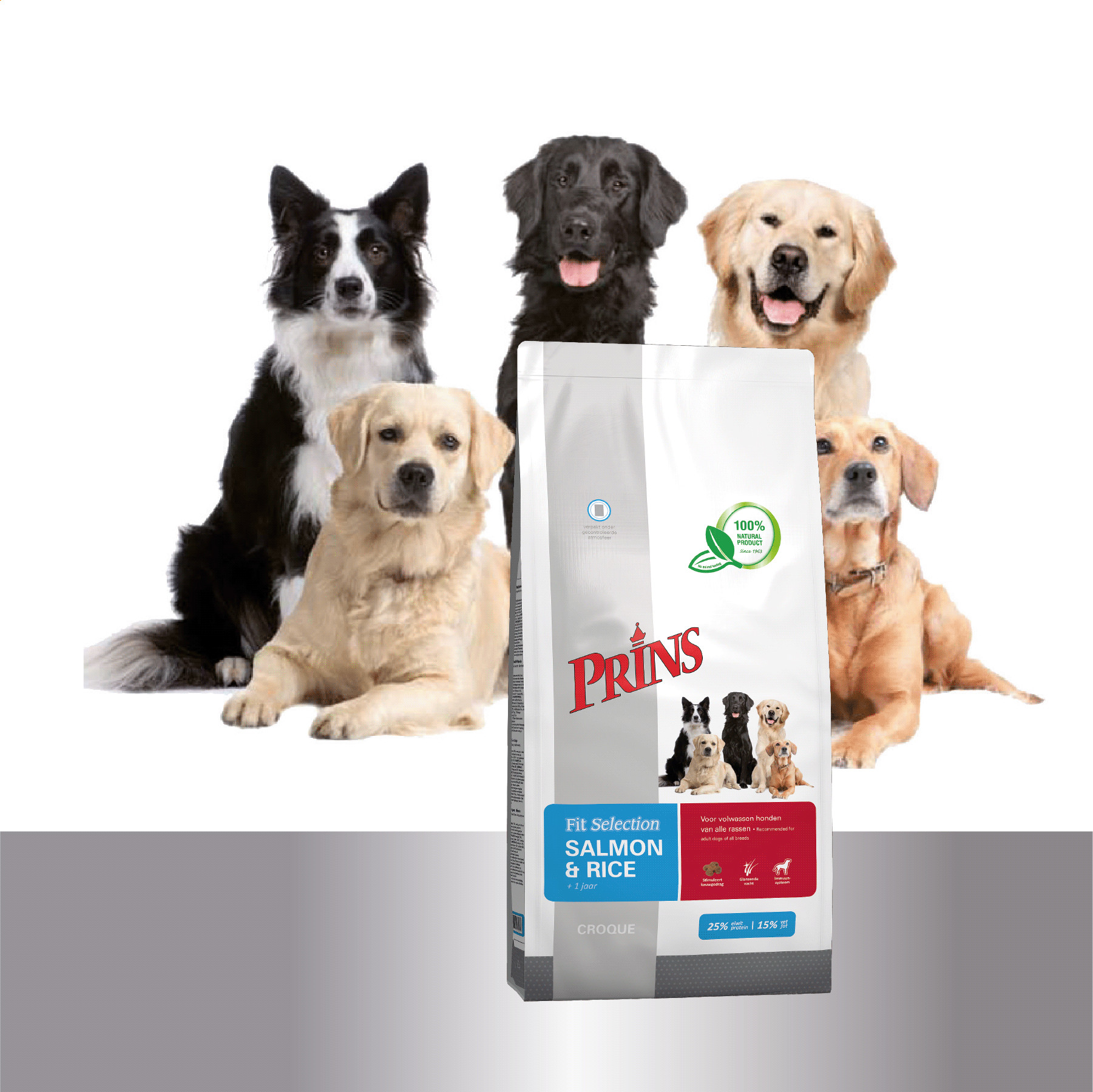 Prins Fit Selection au saumon et riz pour chien